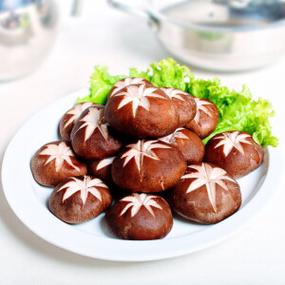 100种香菇图片