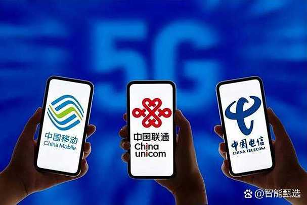 移动客户等级12级截图3