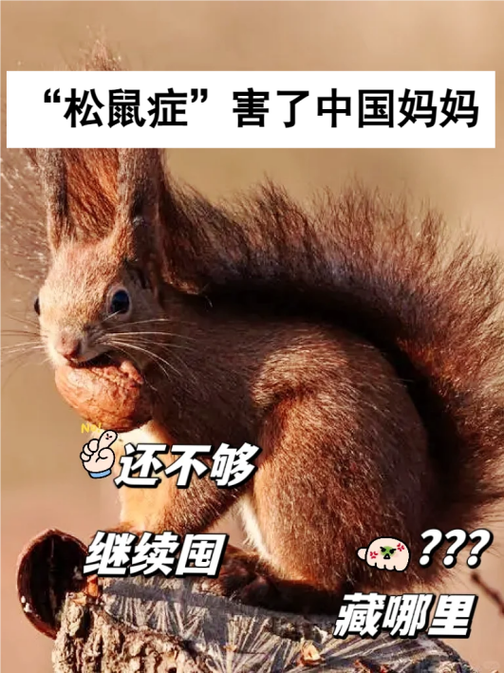 松鼠症仓库页1截图2