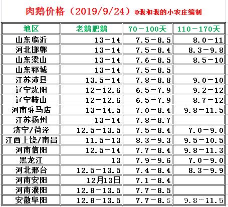 养鹅100只利润和成本