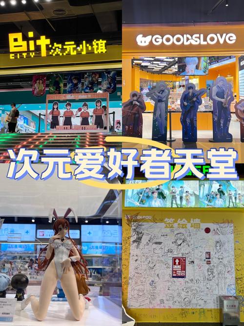 次元城官方网页版入口
