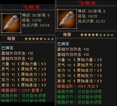 天龙八部暗器飞蝗石完美