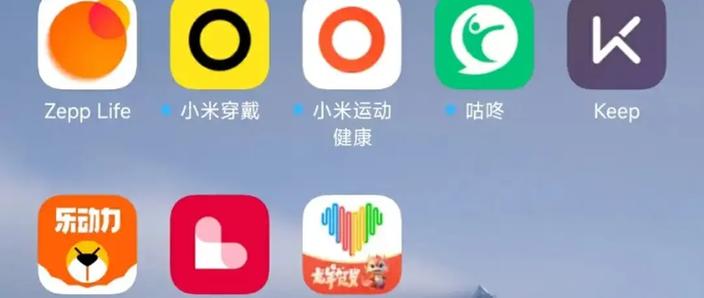ZeppLife中文是啥意思