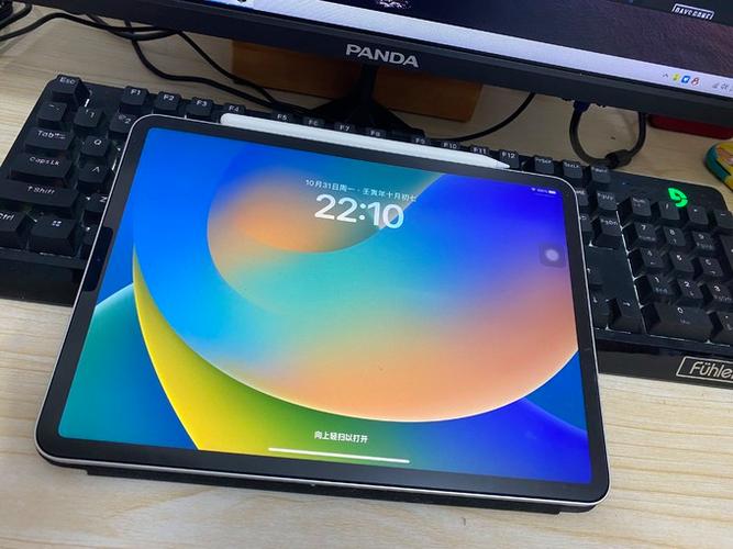 ipad2020进灰严重吗
