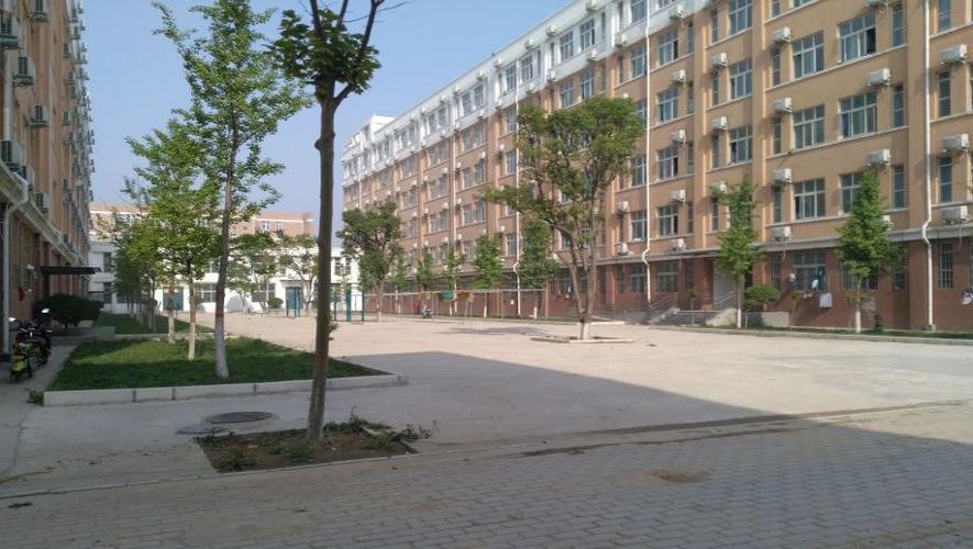 郑州树青医学中等专业学校