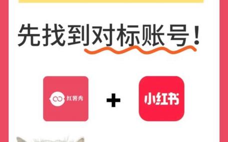 小红书书号是什么