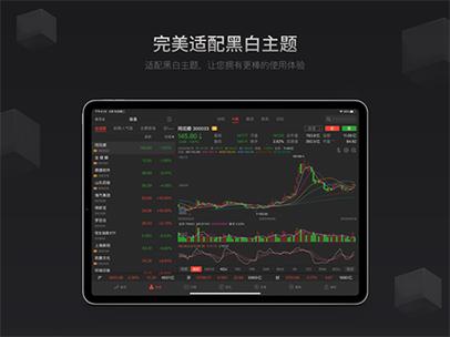 同花顺在ipad不能全屏
