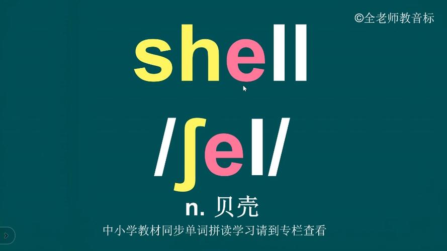 shell怎么读