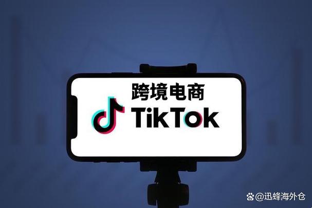 tiktok跨境电商截图2