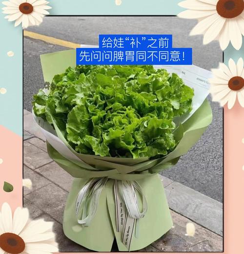 家安宝手机安装