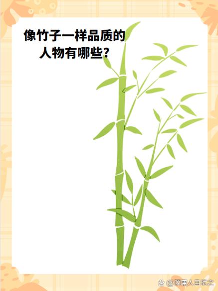 喜欢竹子的人什么性格截图1