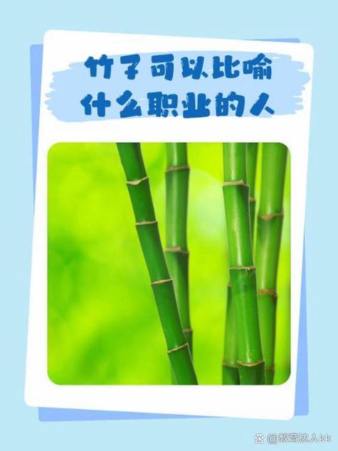 喜欢竹子的人什么性格截图2