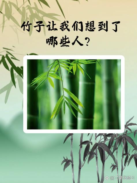 喜欢竹子的人什么性格截图3