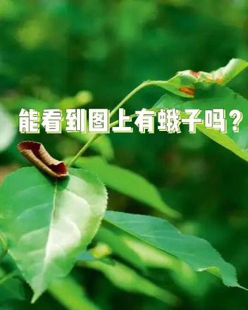 红米k30 隐藏