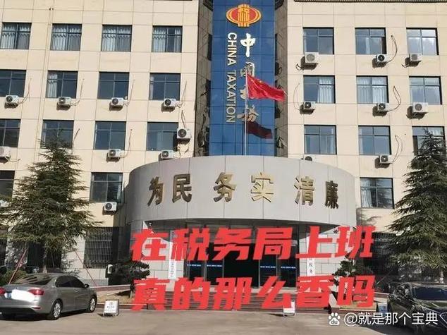 考税务局需要什么条件