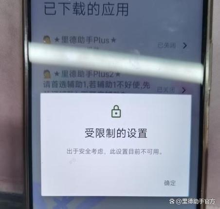 允许受限制的设置
