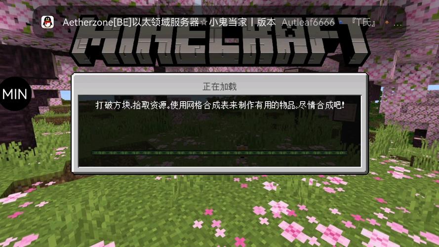MlN制裁盒子激活码2026我的世界截图2