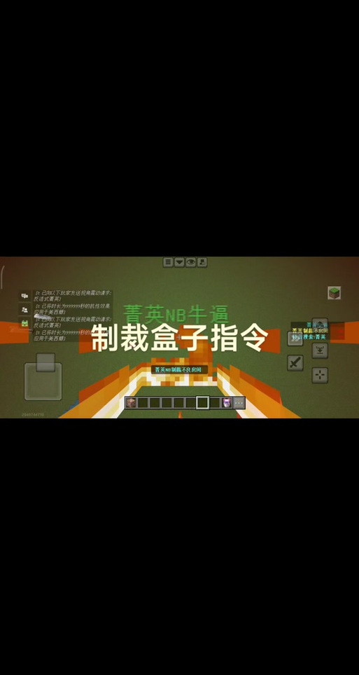 MlN制裁盒子激活码2026我的世界截图3