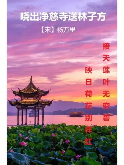 章衡最惊艳十句诗句大全截图3