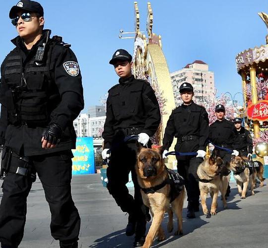 警犬巡逻队官网下载安装截图3