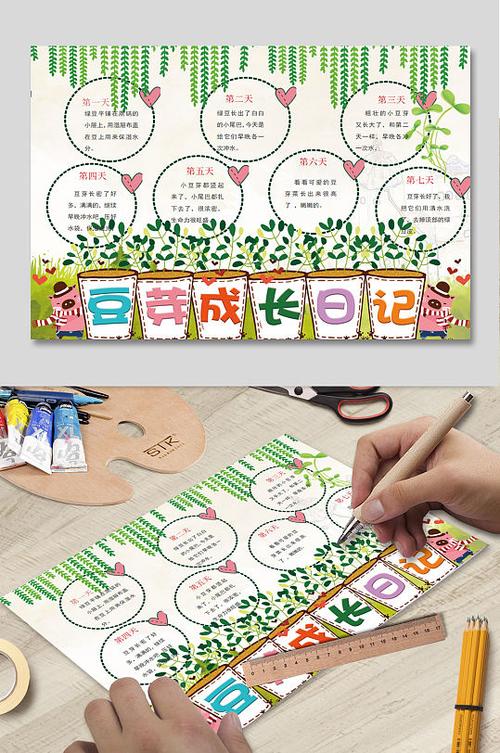 豆芽发芽过程记录