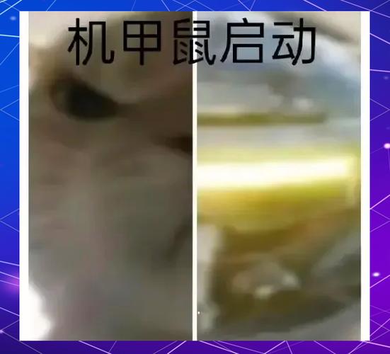 win7鼠标反应慢