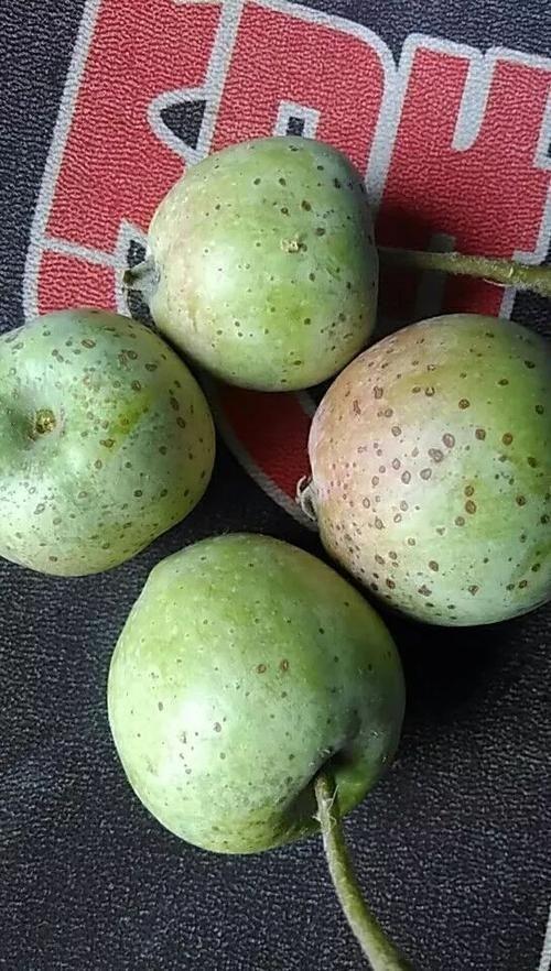 苹果摔成绿色条纹