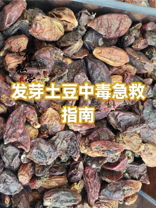 发芽土豆中毒死亡几率