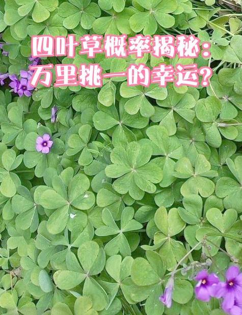 概率抽奖 概率抽奖