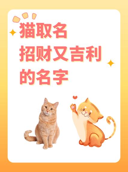 猫女孩最吉利的名字