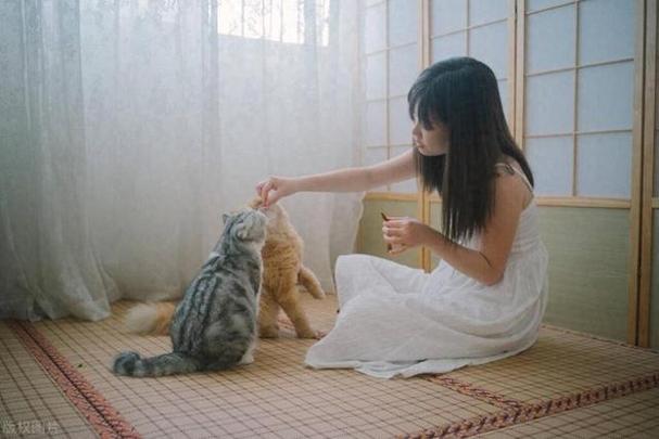 猫女孩最吉利的名字截图3
