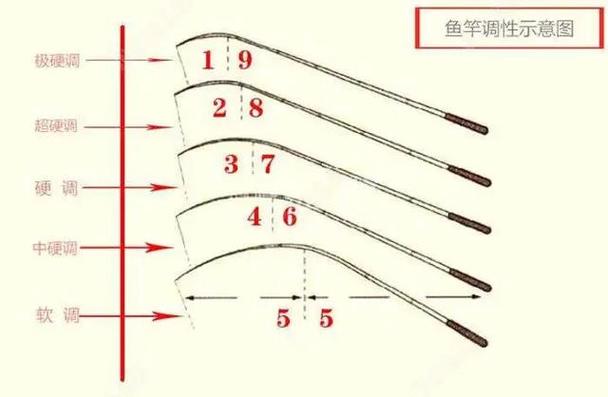 什么是28调和19调