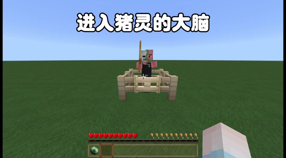 我的世界猪灵堡垒种子