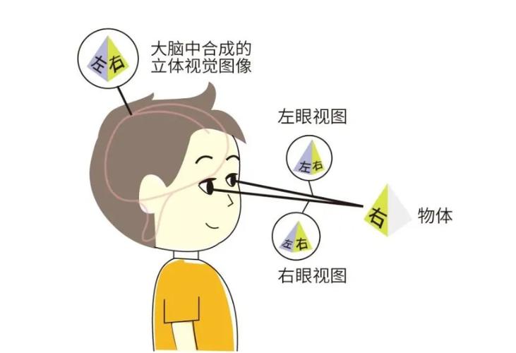 弱视视觉训练的方法