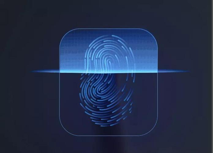 iphone指纹无法录入