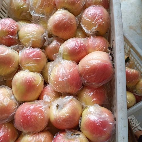 嘎啦苹果优缺点