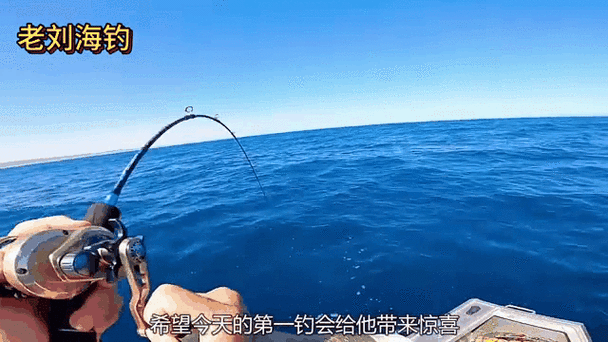 纯海钓小说