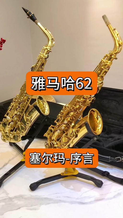 塞尔玛萨克斯