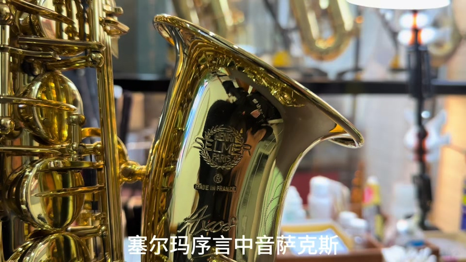 塞尔玛萨克斯截图2