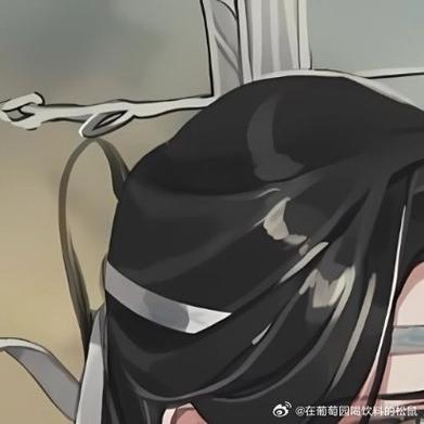 蓝忘机魏无羡