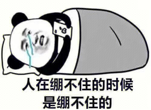 绷住的表情包