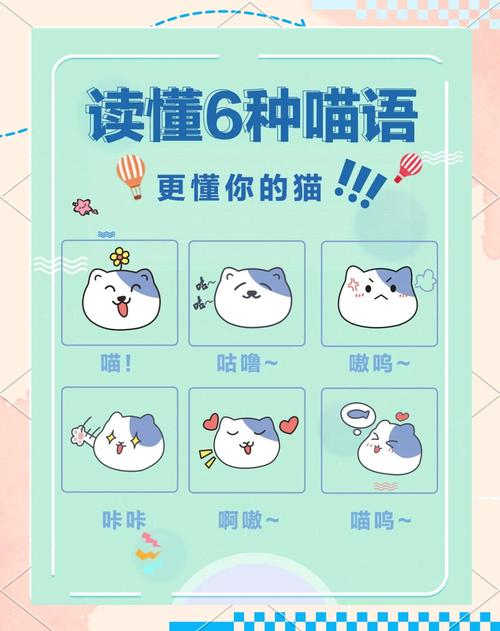 免费的猫语翻译