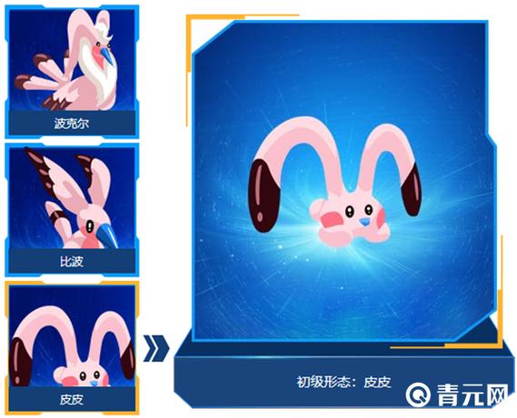 皮皮进化顺序图