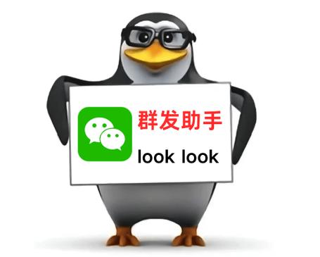 一键群发软件免费截图2
