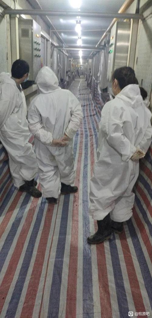 牧原集团员工待遇