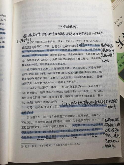 什么软件可以批注文章