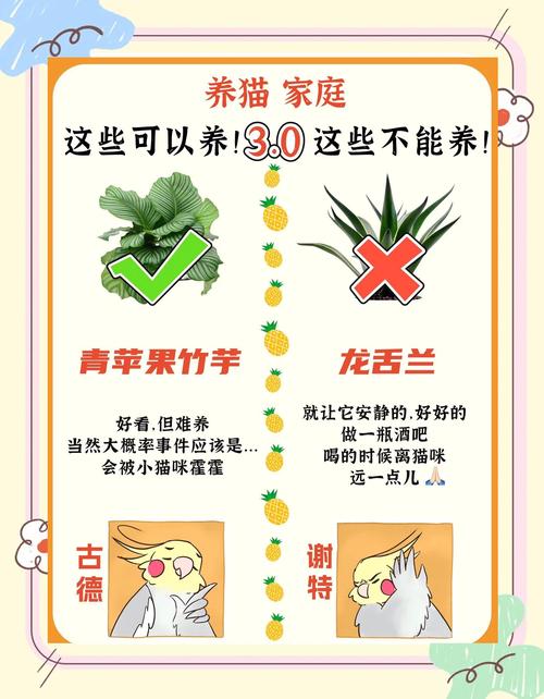 奇妙猫之家怎么施肥