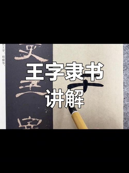 搜书王app截图2