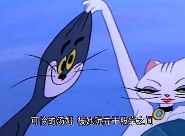 tom名字寓意