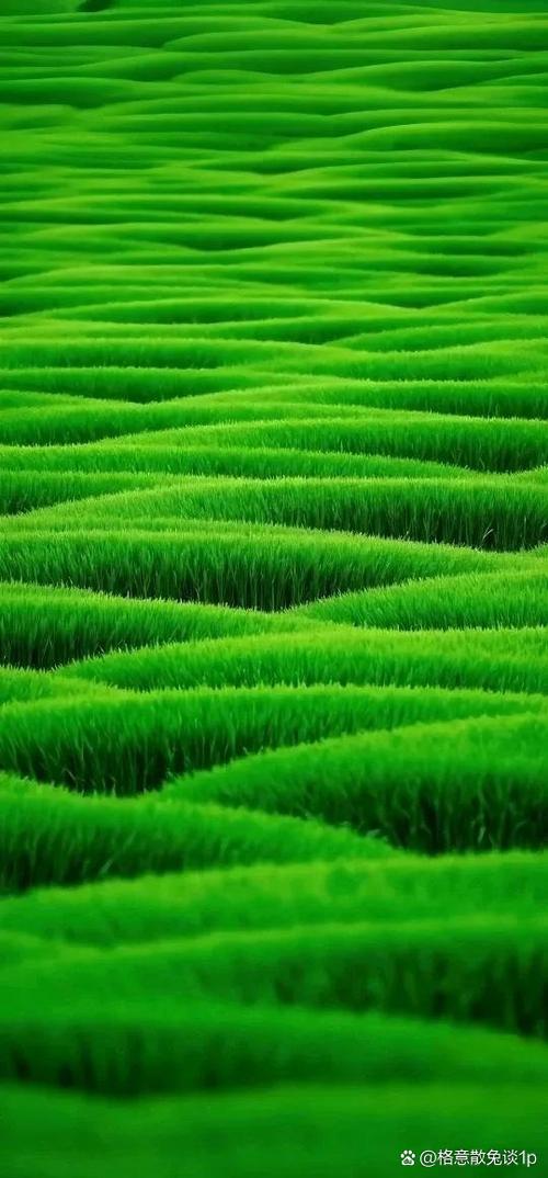 护眼壁纸绿色草地满屏